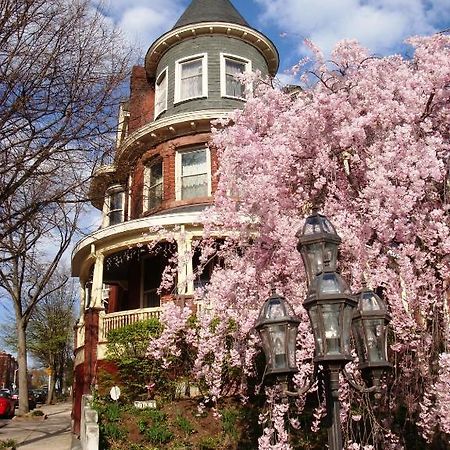 Wilson House Bed & Breakfast Baltimore Exteriér fotografie
