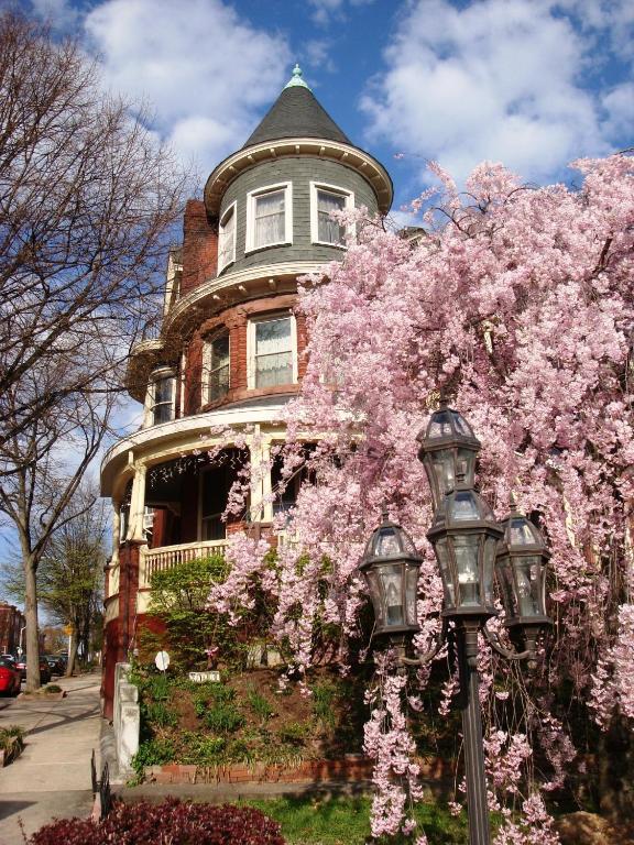 Wilson House Bed & Breakfast Baltimore Exteriér fotografie